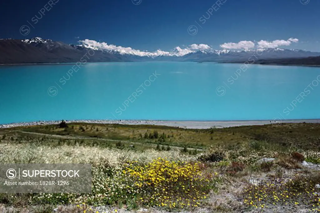 Lake Pukaki, Mount Cook Region New Zealand   