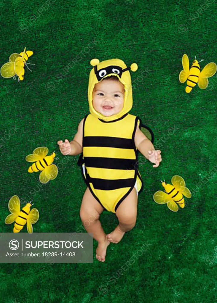 Portrait of Baby in Bee Costume   