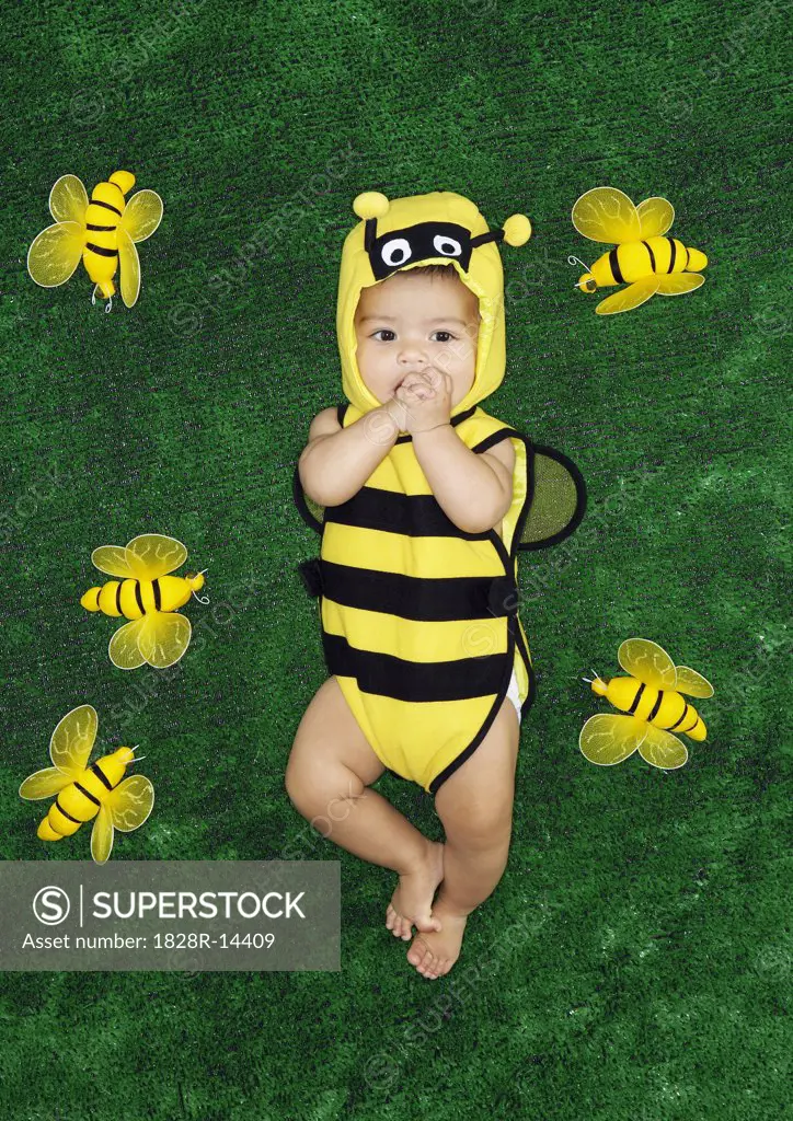 Portrait of Baby in Bee Costume   
