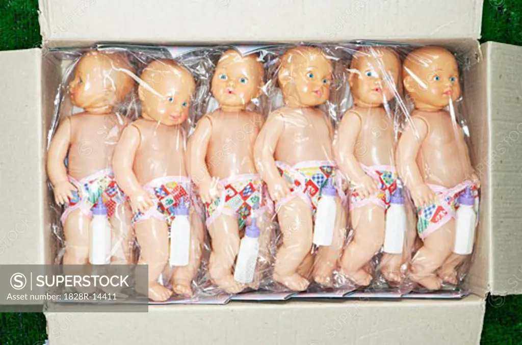Baby Dolls in Box   