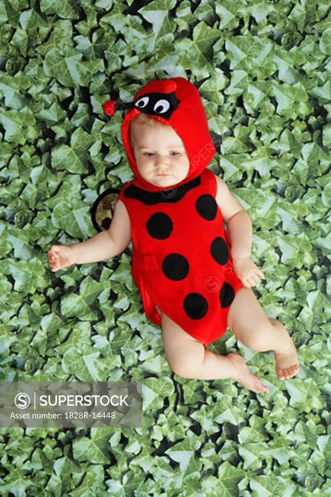 Baby Dressed as Ladybug   