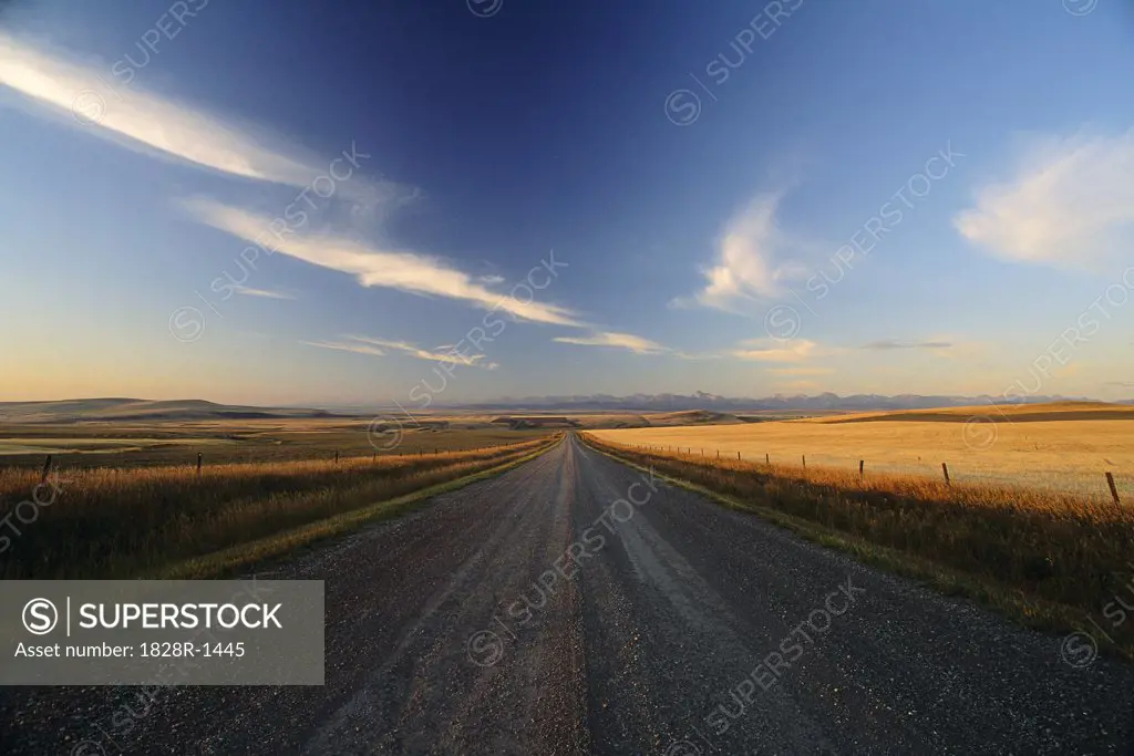 Rural Road at Dawn Near Pincher Creek Alberta, Canada   