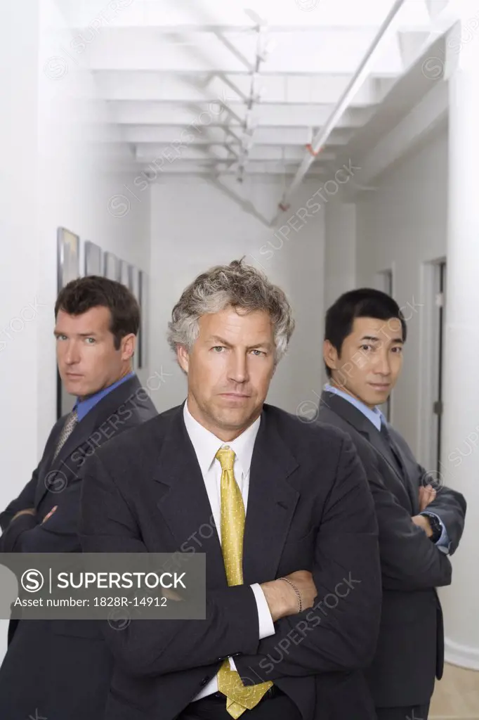 Group Portrait of Businessmen   