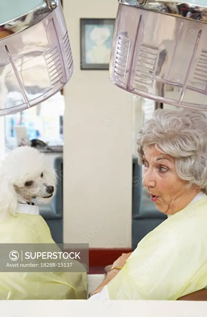 Woman in Hair Salon with Poodle   