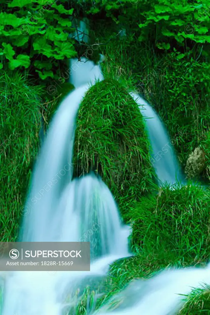 Rivulets Flowing over Grass, Plitvice Lakes National Park, Croatia   