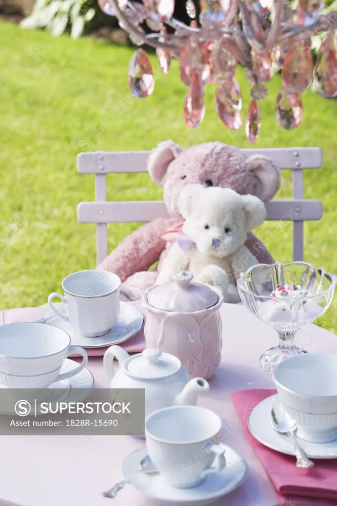 Table Set for Tea Party   