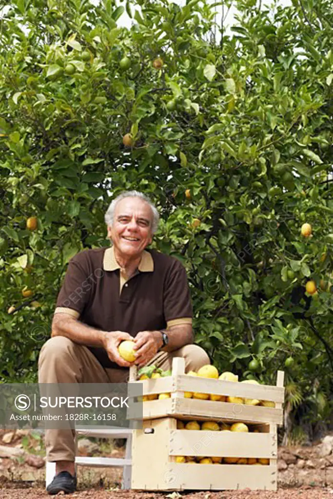 Portrait of Man in Orchard   