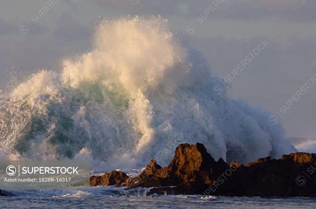 Wave Crashing on Reef, North Shore, Oahu, Hawaii, USA   