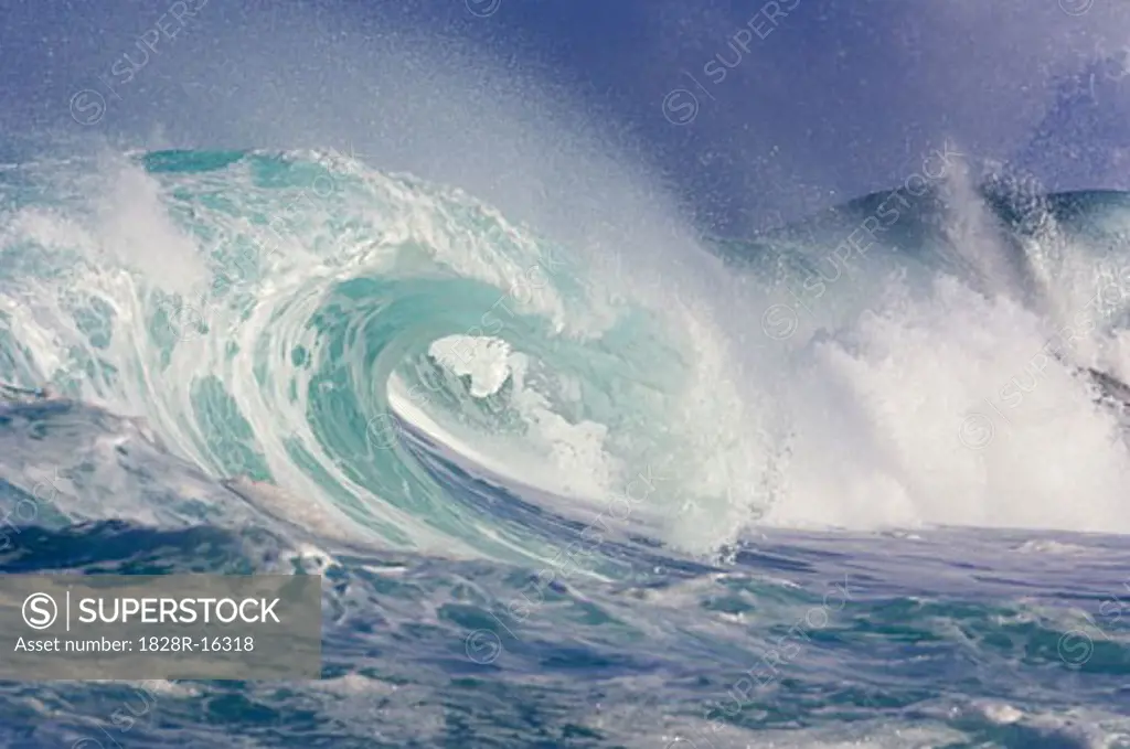 Wave, North Shore, Oahu, Hawaii, USA   