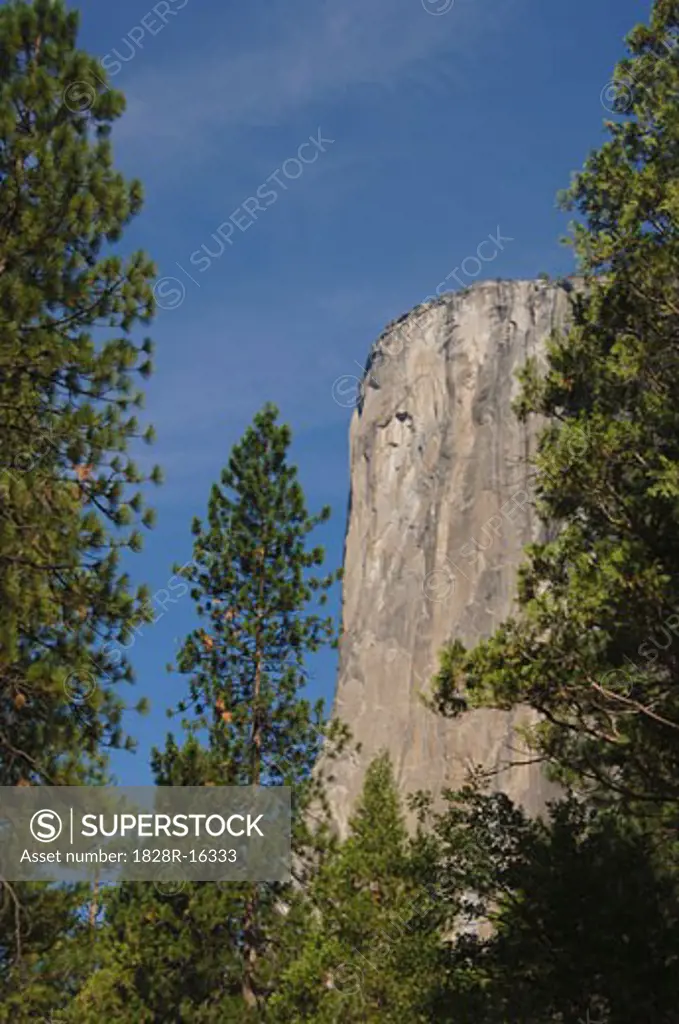 Yosemite National Park, California, USA   