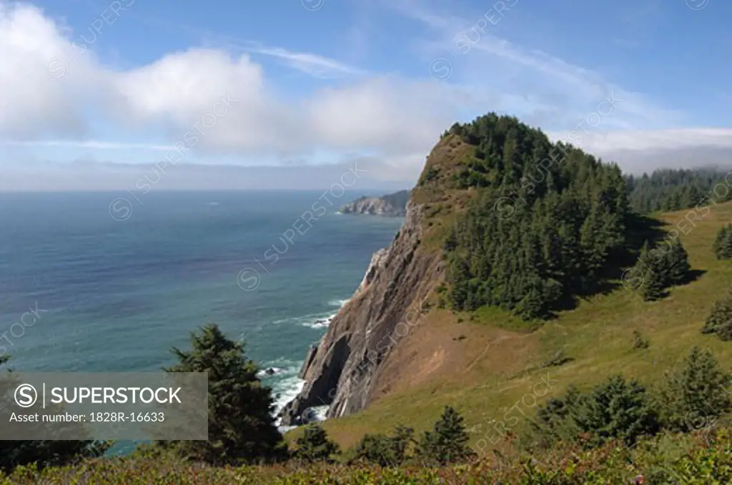 Cliffs on Coast, Oregon, USA   