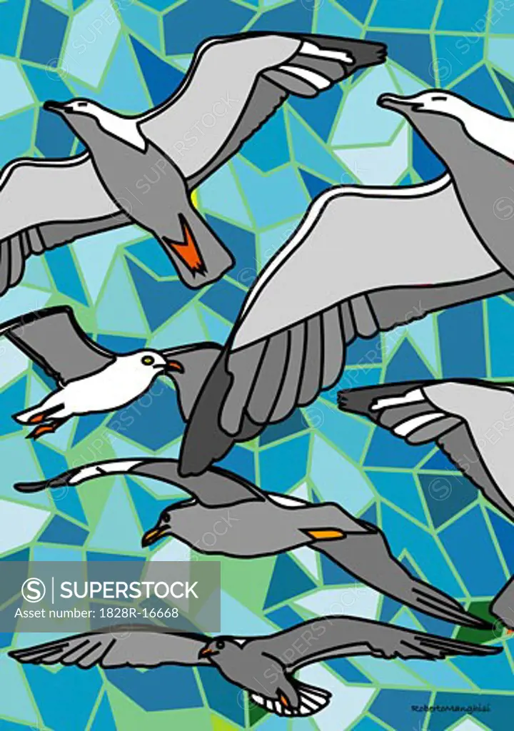 Illustration of Seagulls   