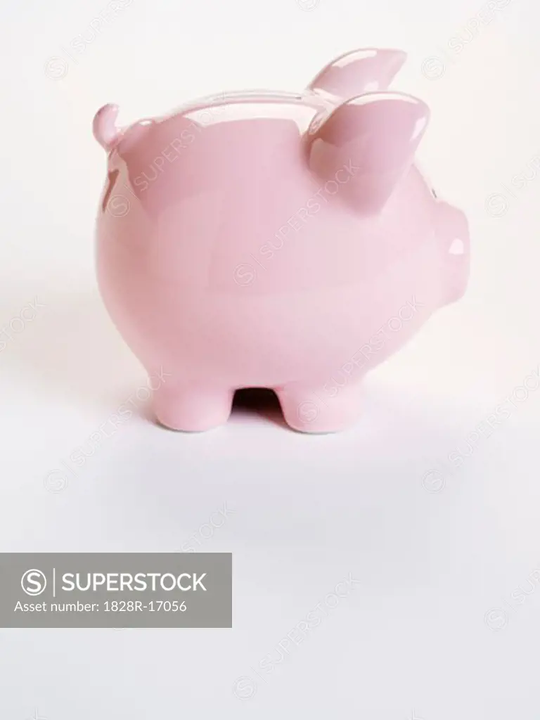 Piggy Bank   