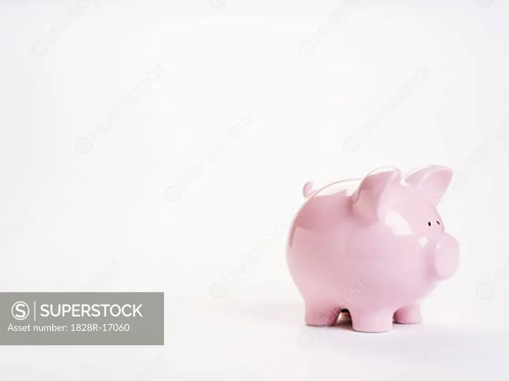 Piggy Bank   