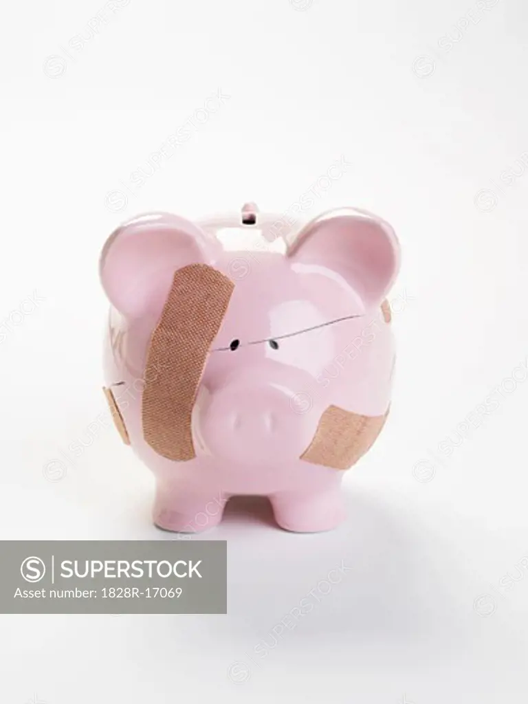 Broken Piggy Bank   