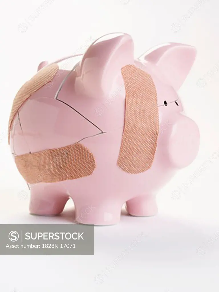 Broken Piggy Bank   