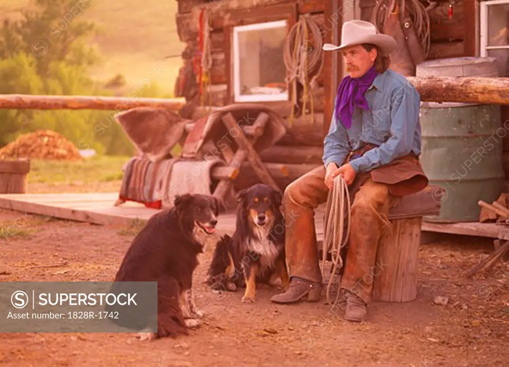 Cowboy and Dogs Douglas Lake Ranch British Columbia, Canada   