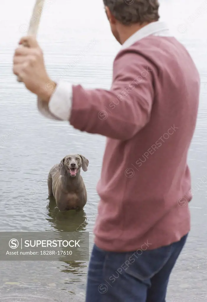 Man Playing with Dog   
