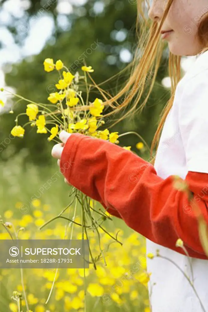 Girl Picking Wildflowers   