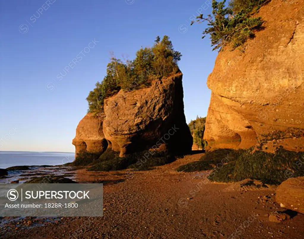 Flowerpot Rocks, Hopewell Cape, New Brunswick, Canada   