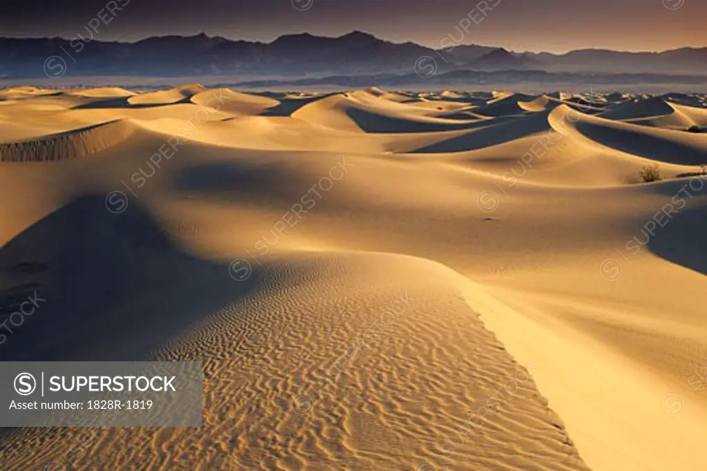 Sand Dunes Death Valley, California, USA   