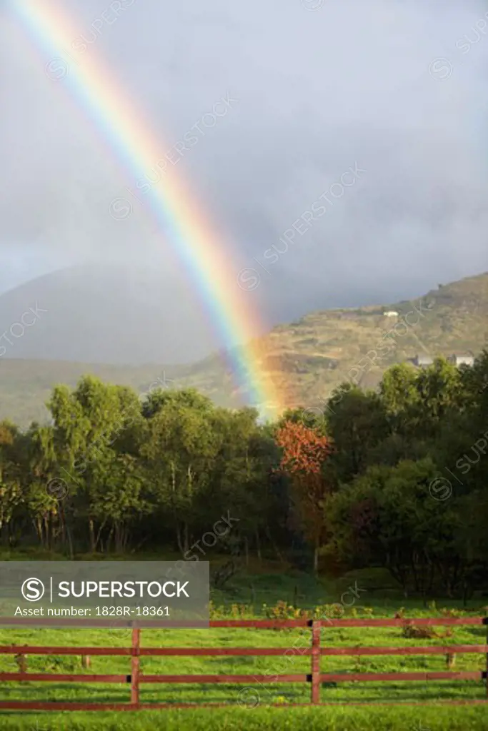 Rainbow over Pasture, Scotland   