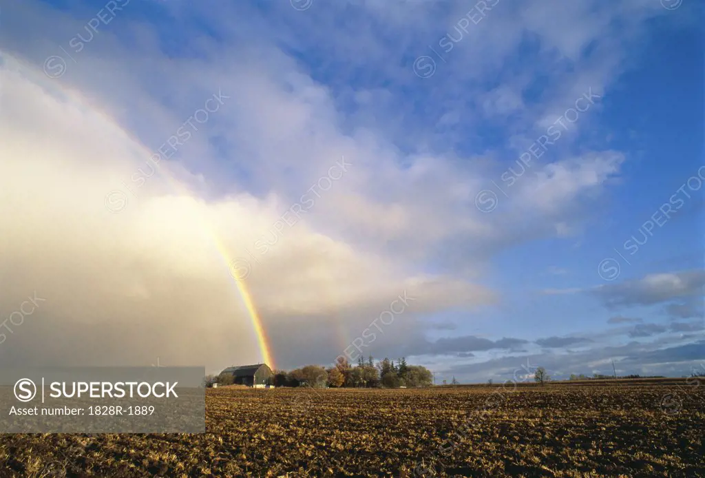 Rainbow Markham, Ontario, Canada   