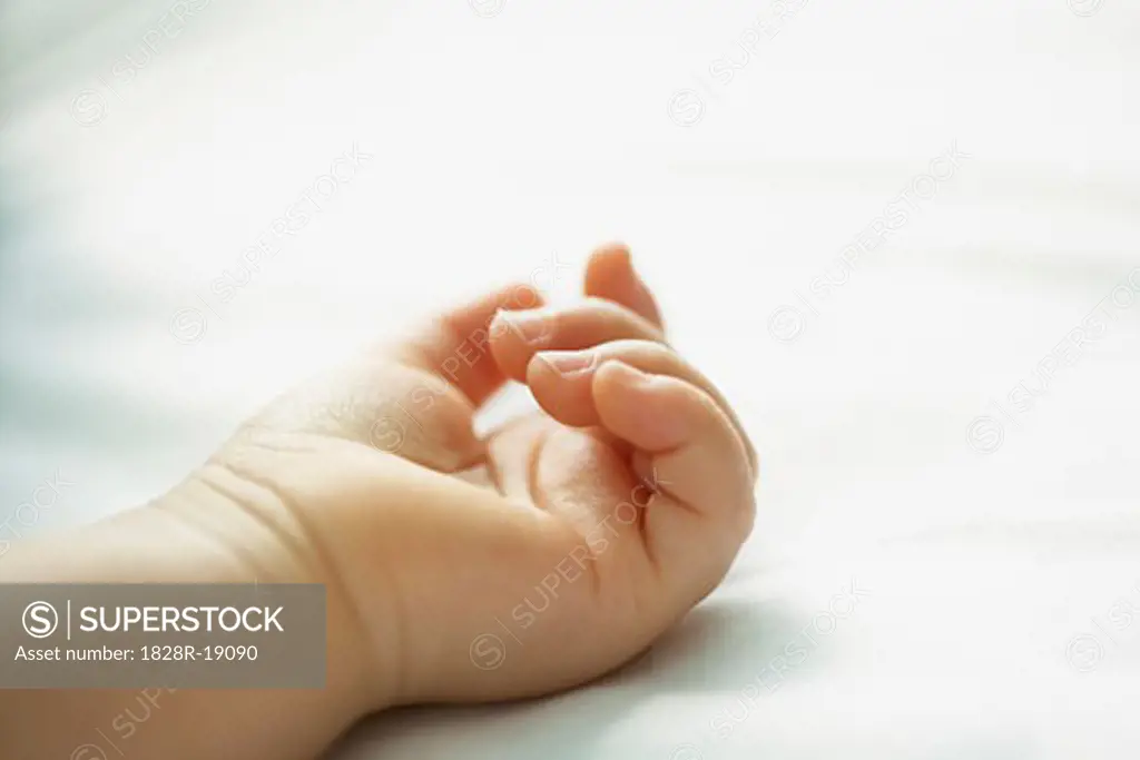 Close-Up of Baby's Hand   