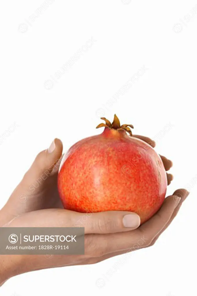 Hands Holding Pomegranate   