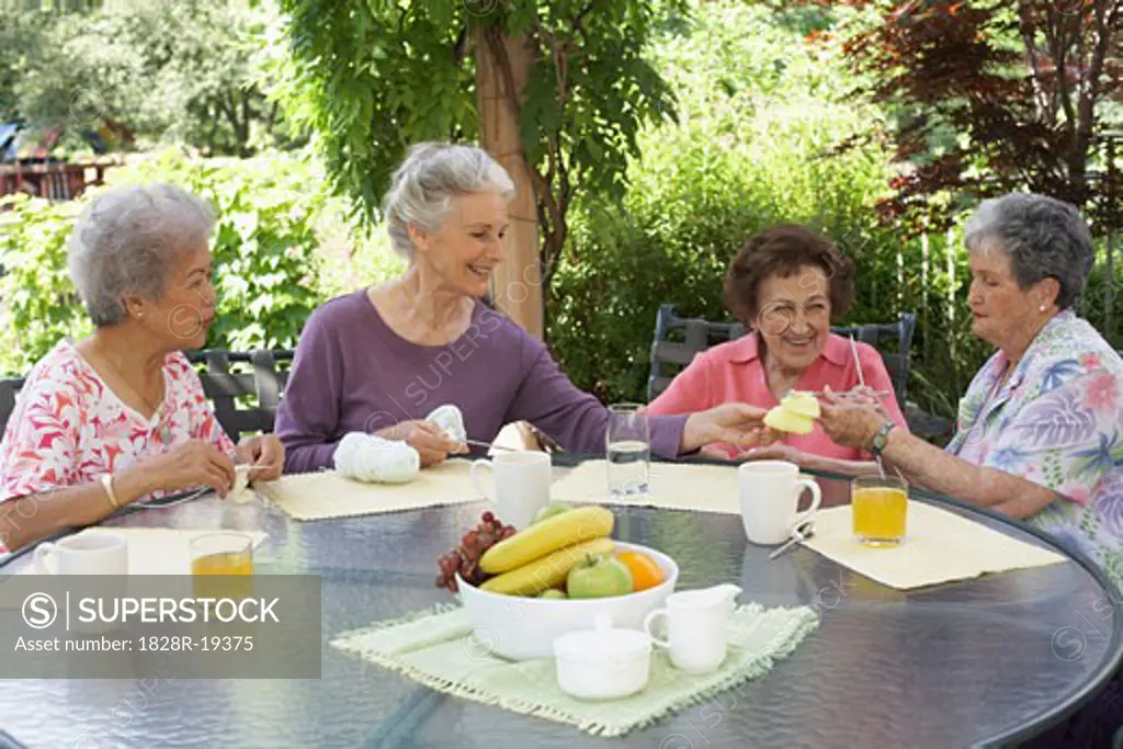 Group of Women Knitting   