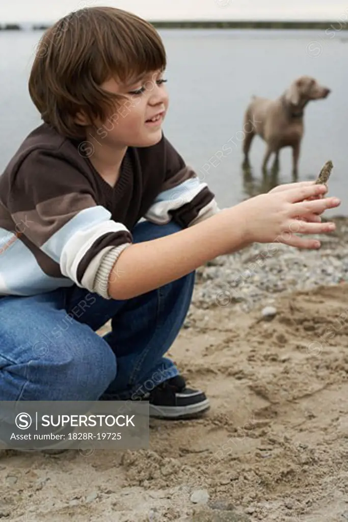 Boy Looking at Stone on Beach   