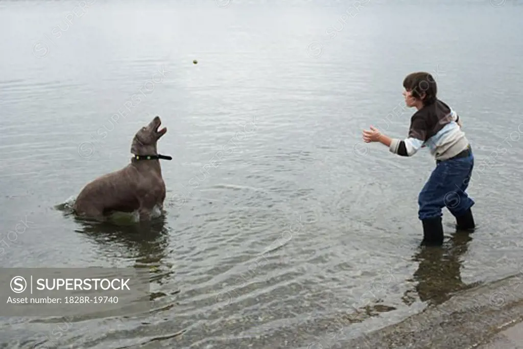 Boy Playing with Dog on Beach   