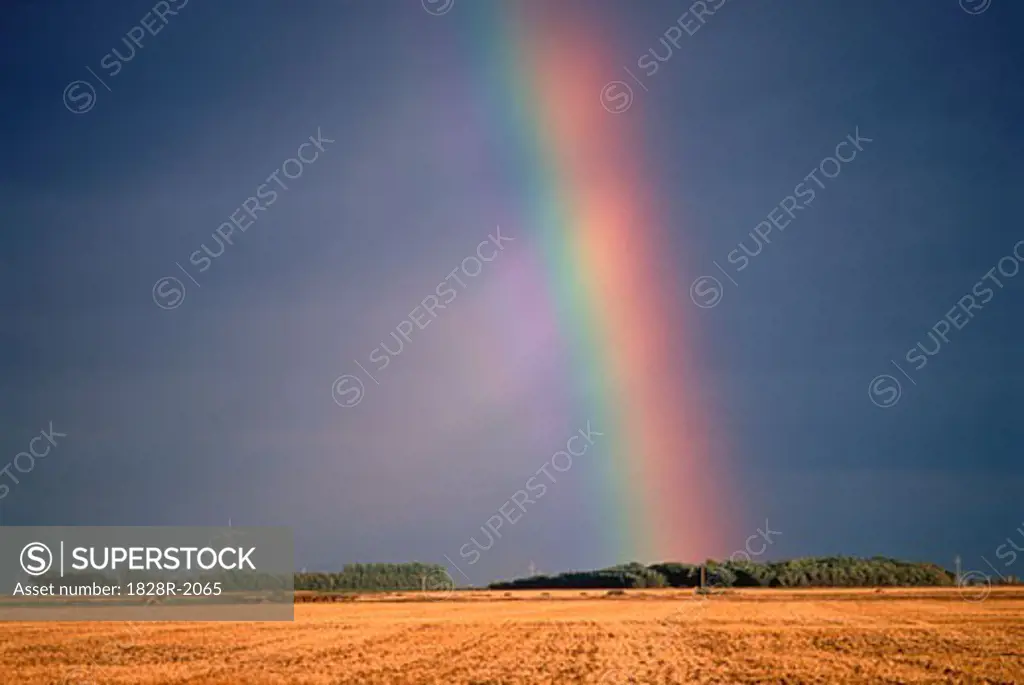 Rainbow over Field Saskatchewan, Canada   