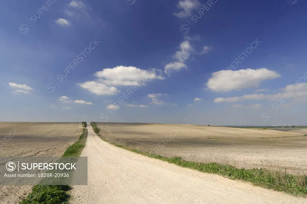 Overview of Road through Fields, Andalucia, Spain   