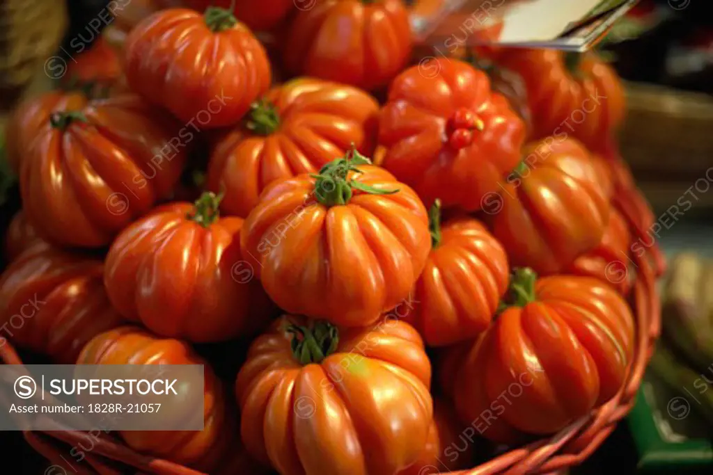 Close-Up of Tomatoes   