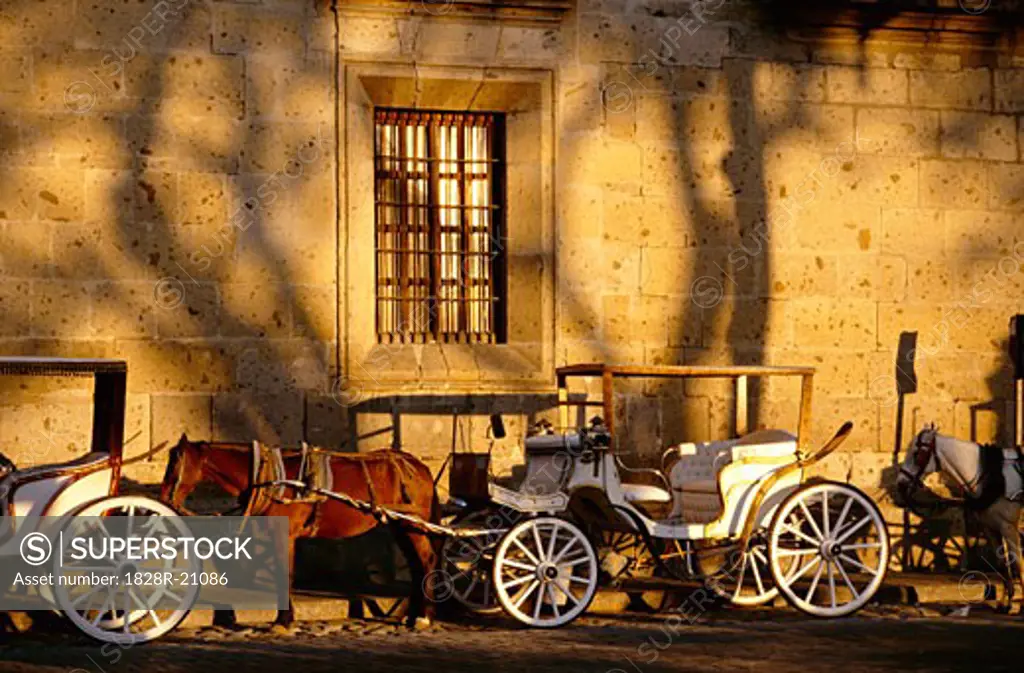 Horse-drawn Carriages, Guadalajara, Mexico   