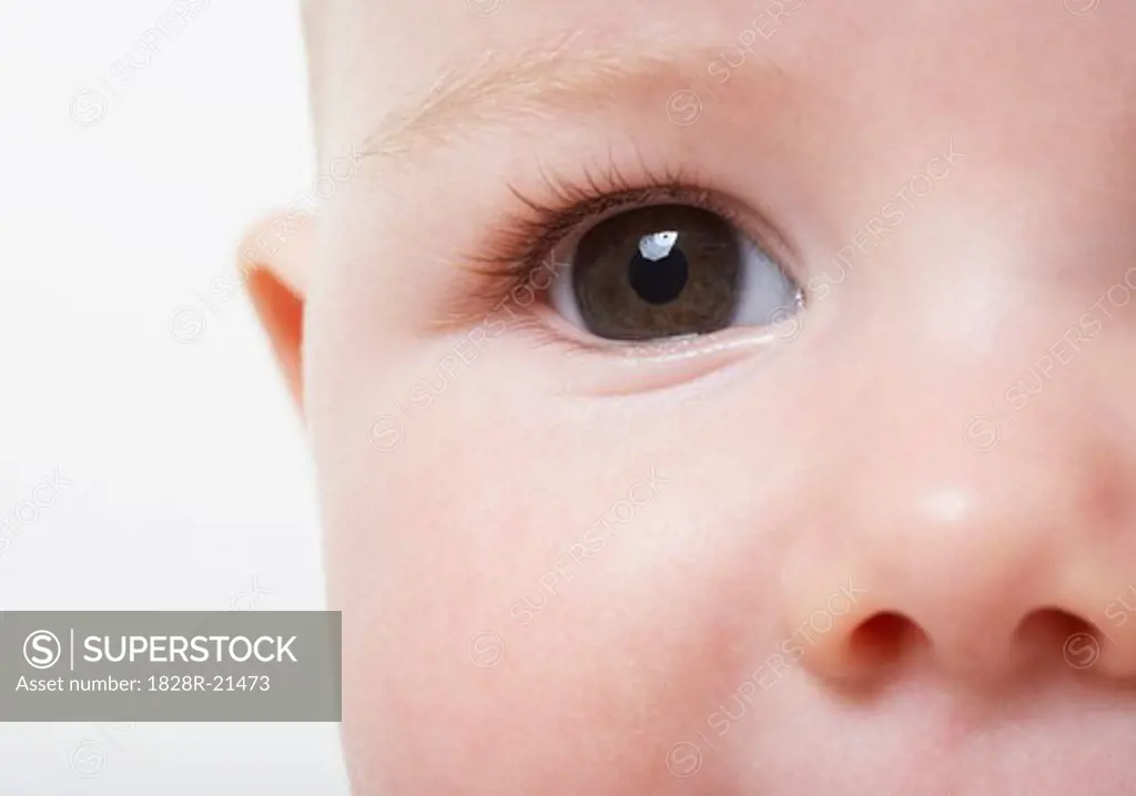 Close-up of Baby's Eye   