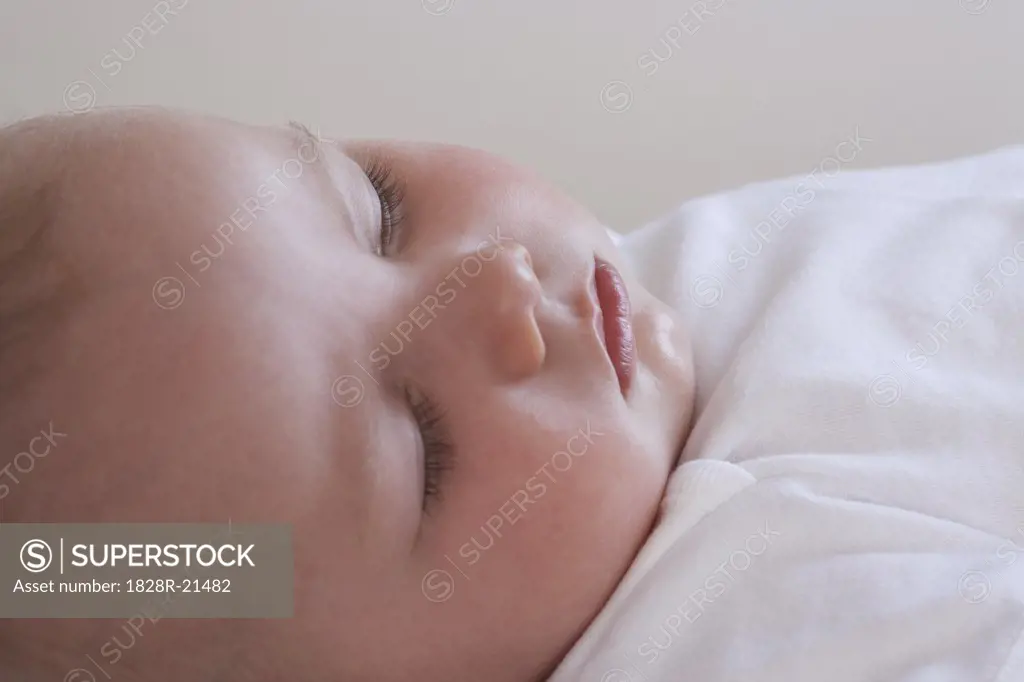 Portrait of Baby Sleeping   