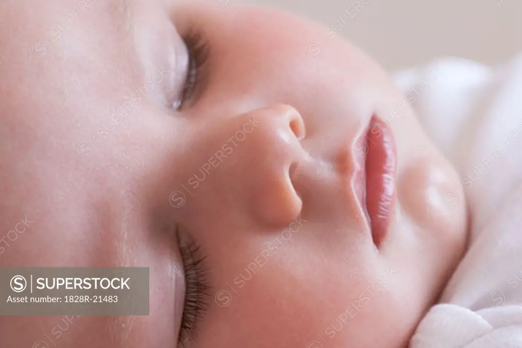 Portrait of Baby Sleeping   