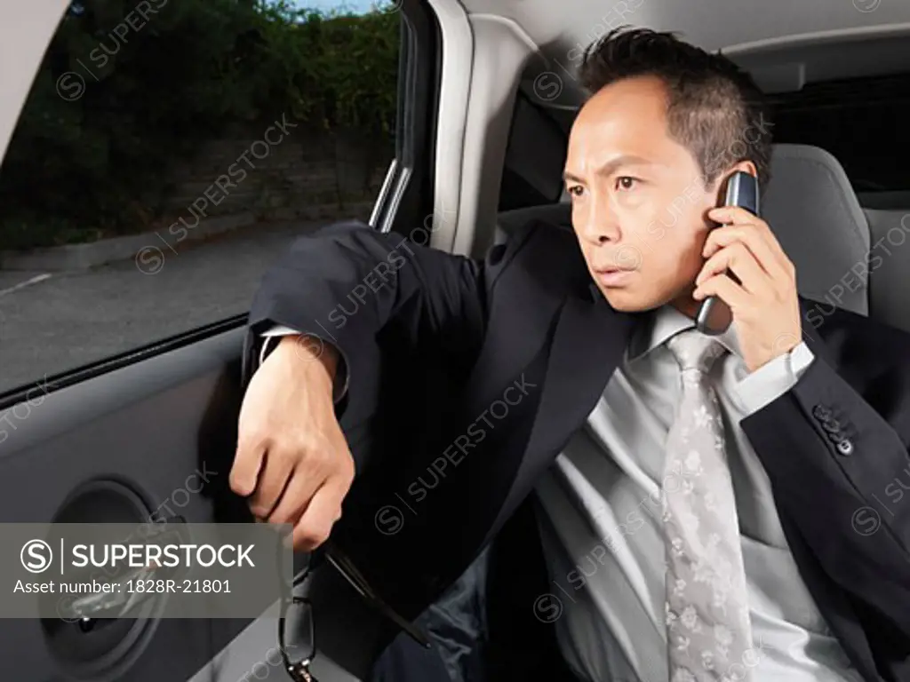 Businessman in Car   