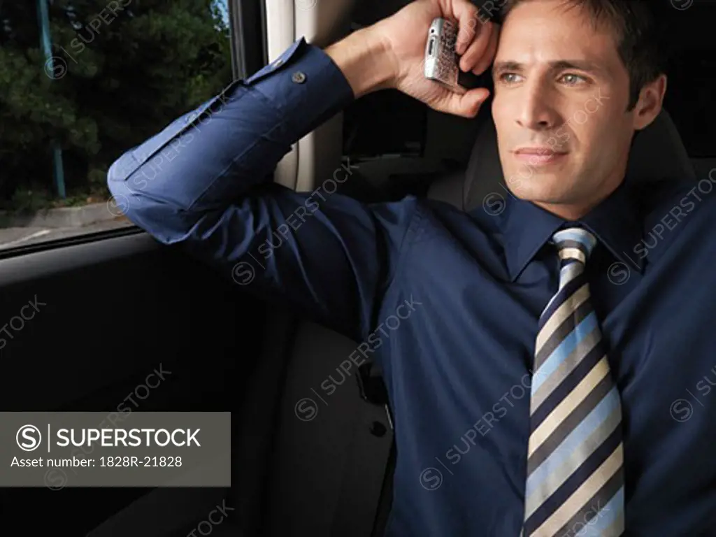 Businessman Using Cellular Telephone   
