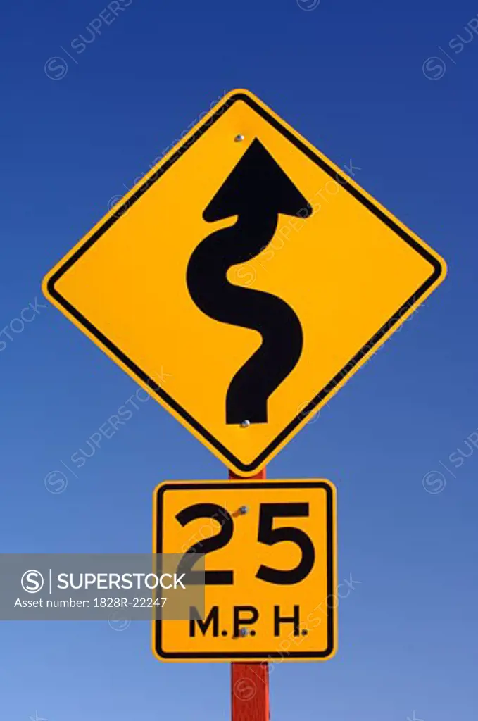 Speed Limit and Winding Road Sign   