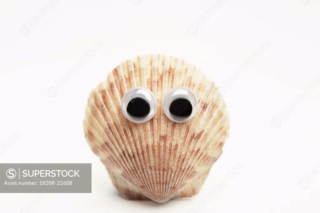 Shell with Googly Eyes   