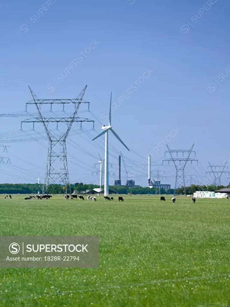 Wind Farm, Electrical Lines, Flevoland, The Netherlands   