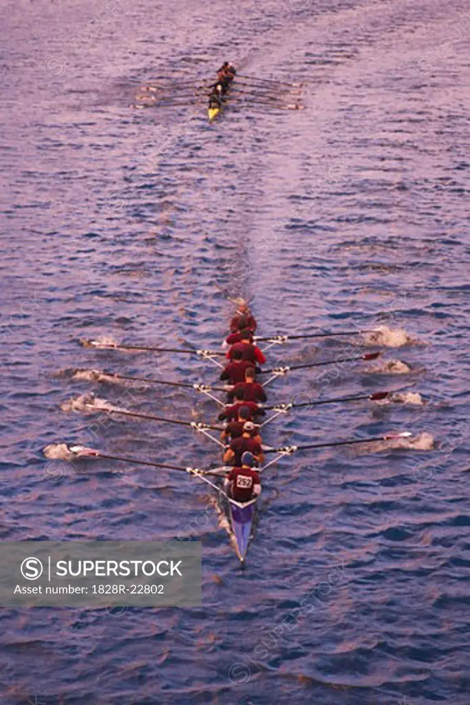 Overview of Rowing Race   