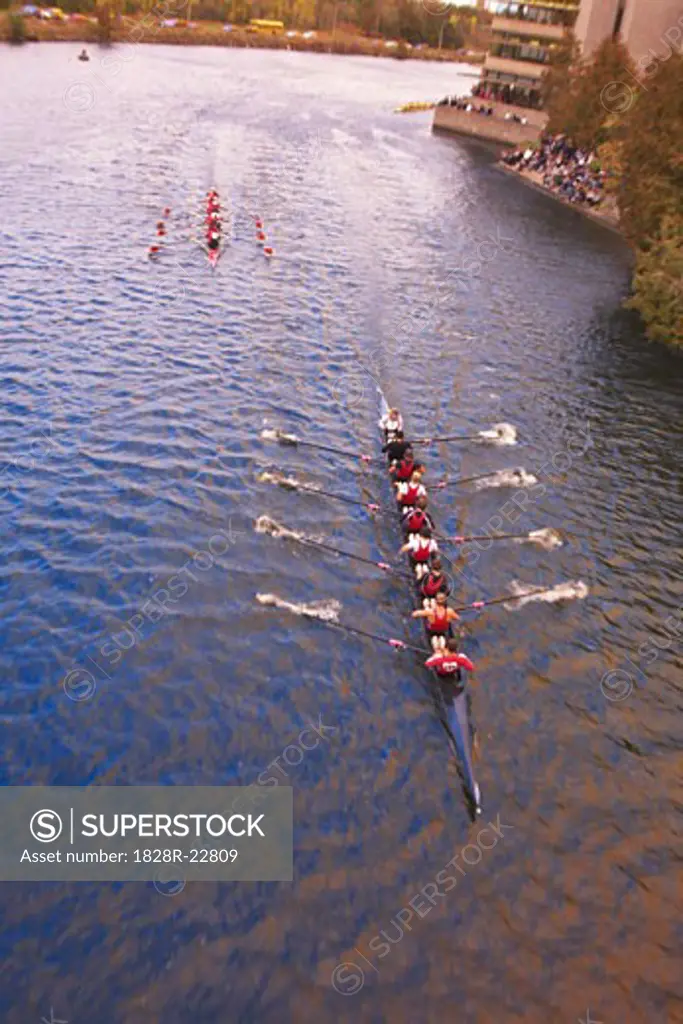 Overview of Rowing Race   