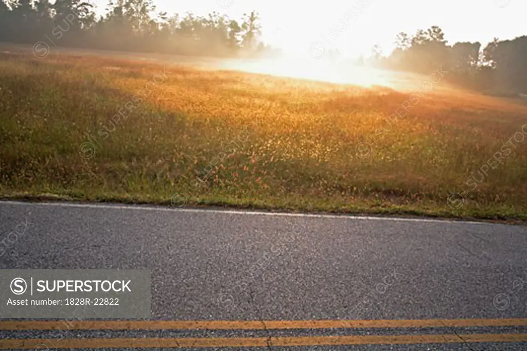 Road and Field at Sunrise, Newnan, Georgia   