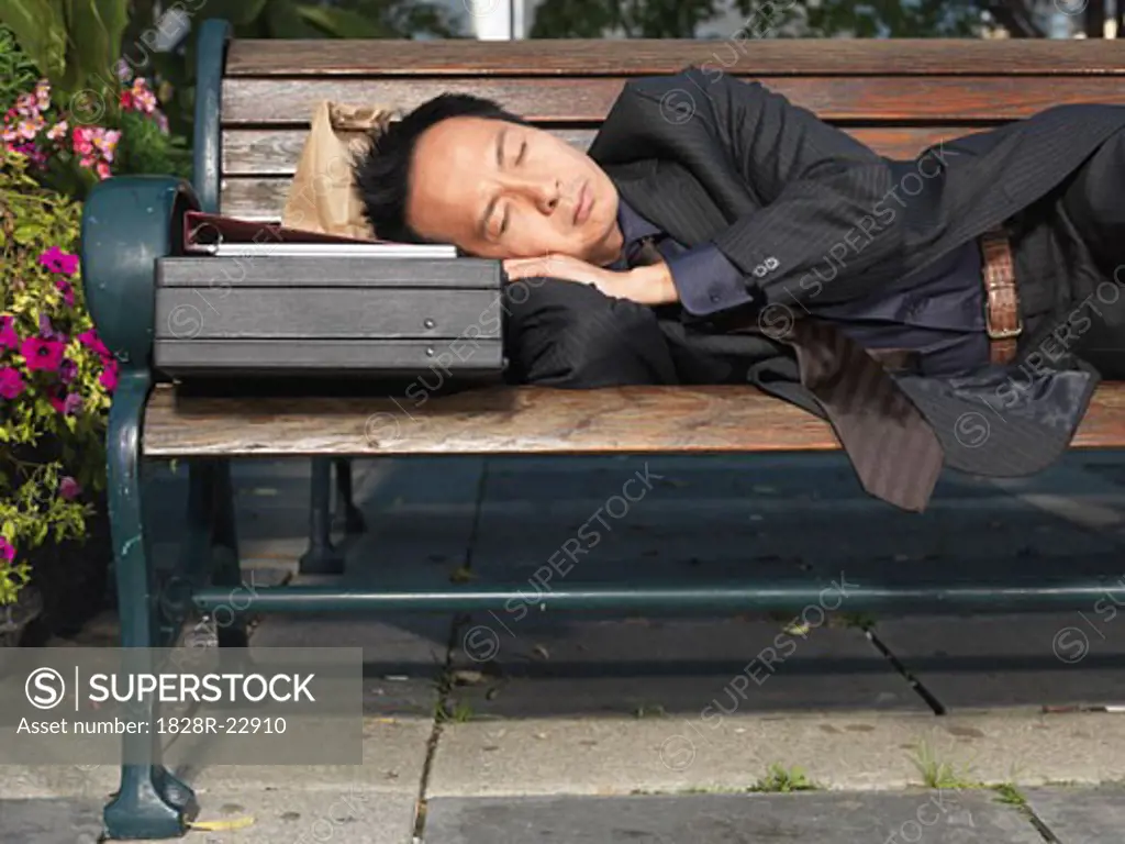 Man Sleeping on Park Bench   