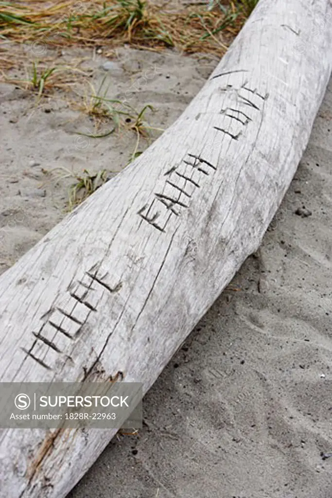 Hope, Faith and Love Carved into Log   