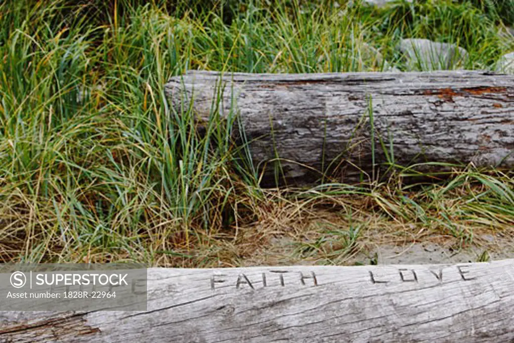 Hope, Faith and Love Carved into Log   